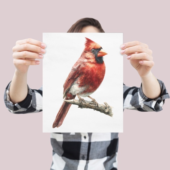Watercolor Red Cardinal Bird Portrait Wall Art Print Unframed - Picture 4 of 6